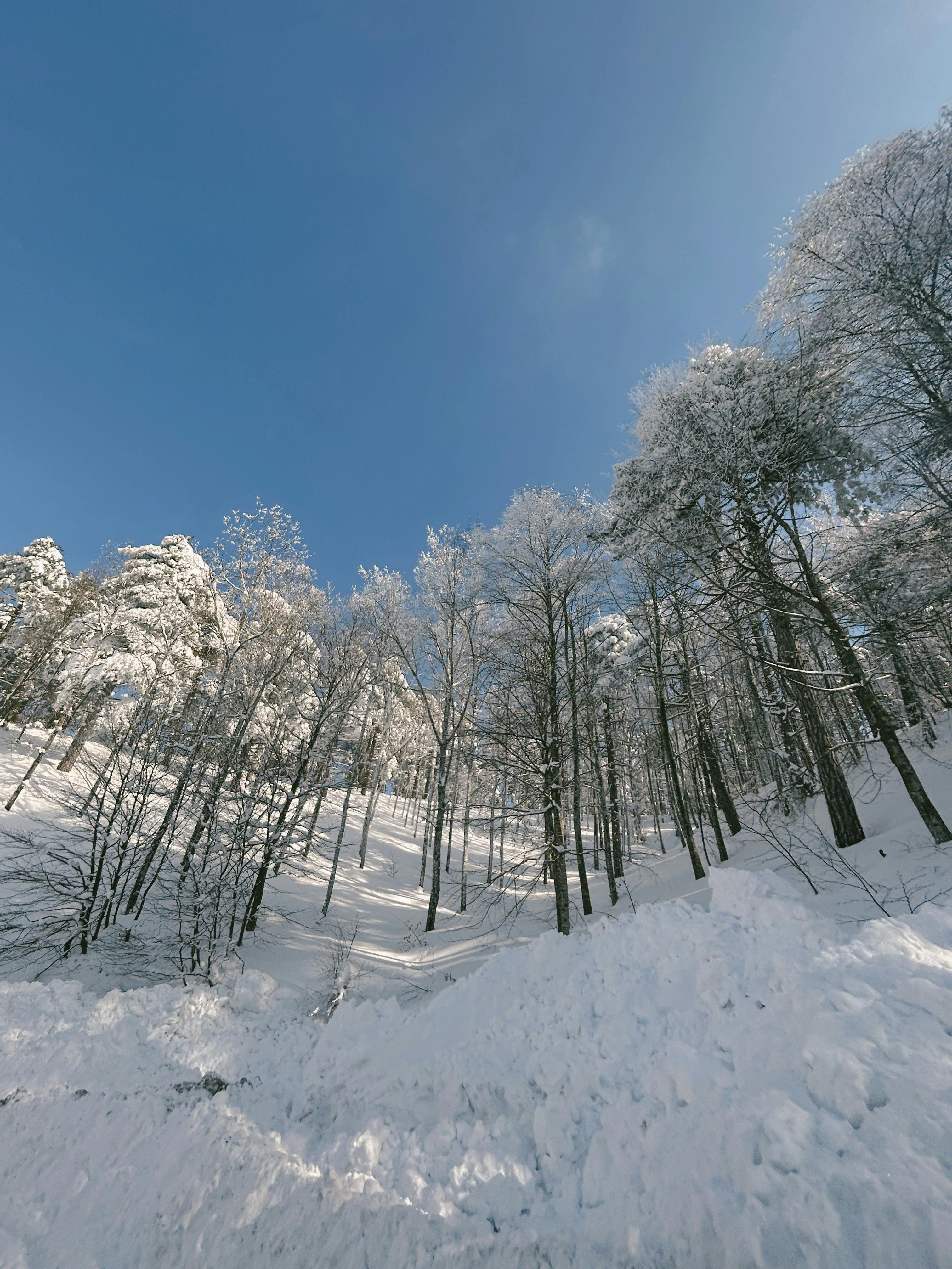 Ssnow Photos, Download The BEST Free Ssnow Stock Photos & HD Images