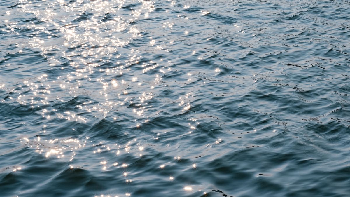 Photo of Sunlight Reflecting on a Body of Water · Free Stock Photo