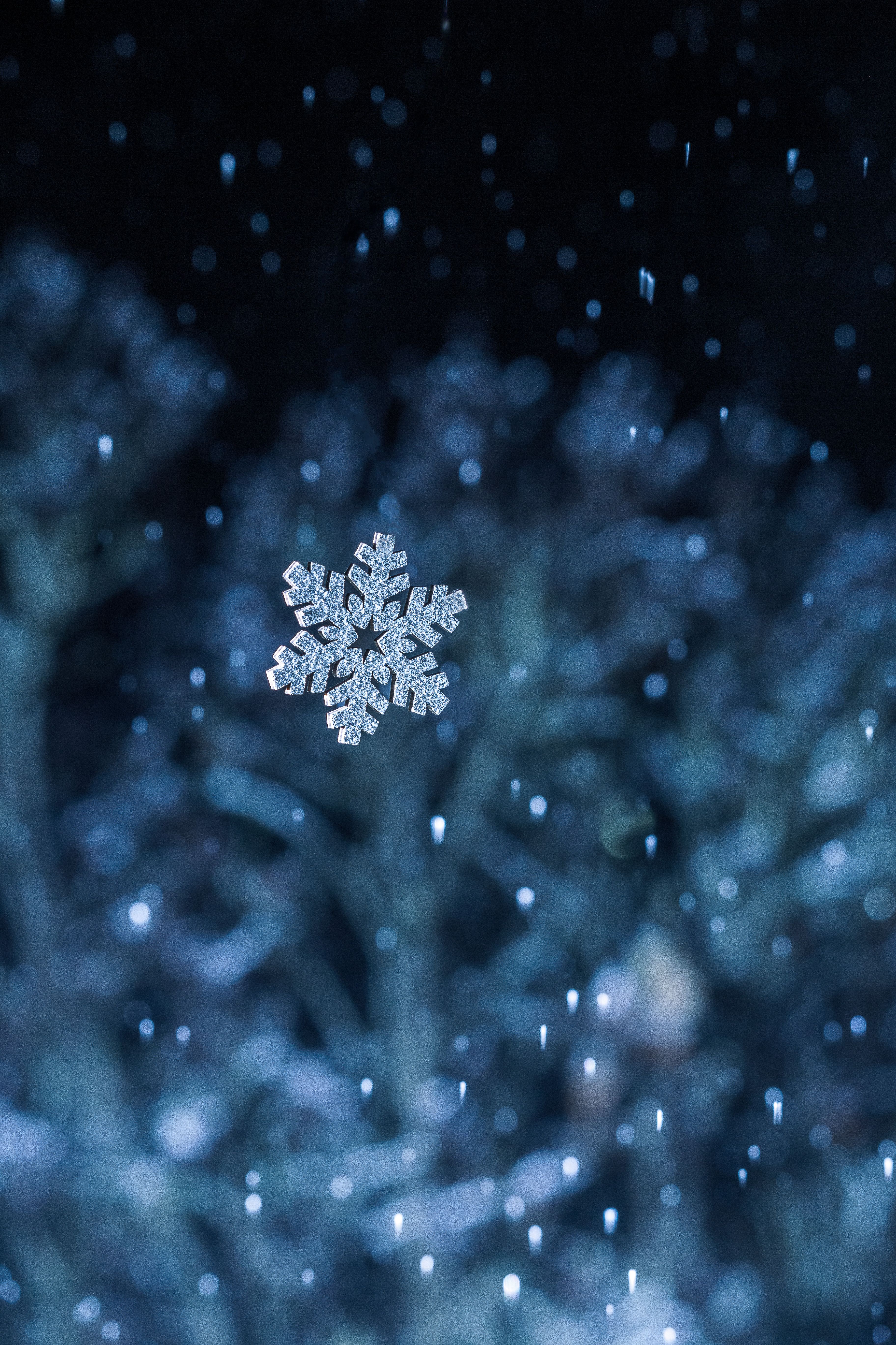 Close Up of a Falling Snowflake · Free Stock Photo