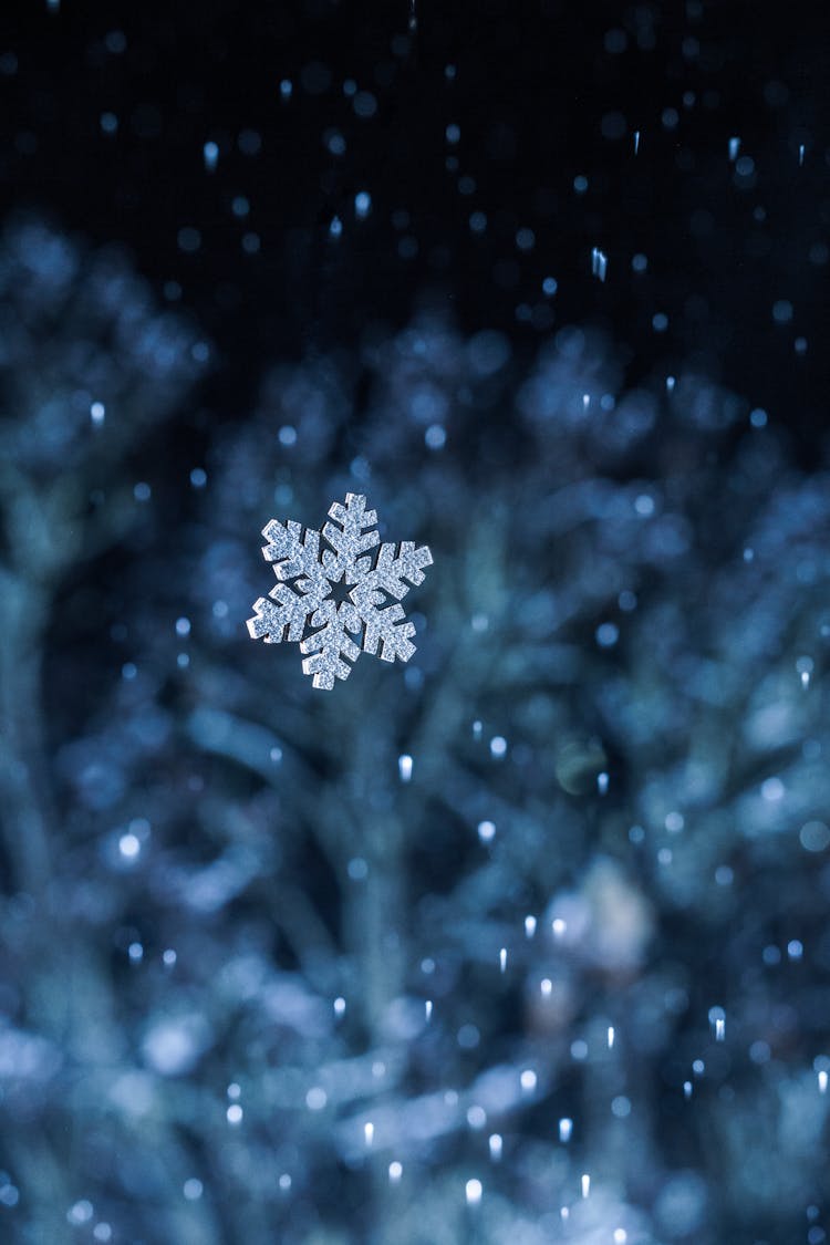 Close Up Of A Falling Snowflake