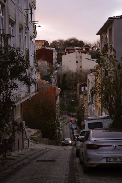 Безкоштовне стокове фото на тему «carabaos, istambul, üsküdar»