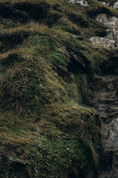 Free Close-up of a moss-covered hillside showcasing natural textures and rocky surfaces. Stock Photo
