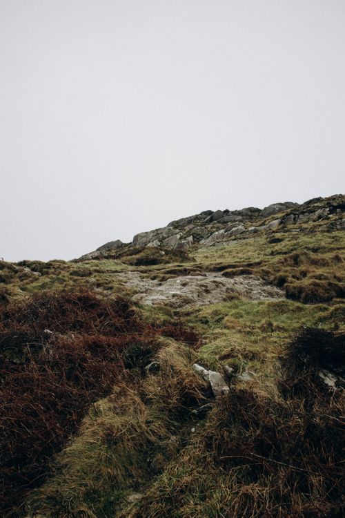Free Explore a rugged mountain slope with moss and rocks under an overcast sky. Ideal for nature themes. Stock Photo