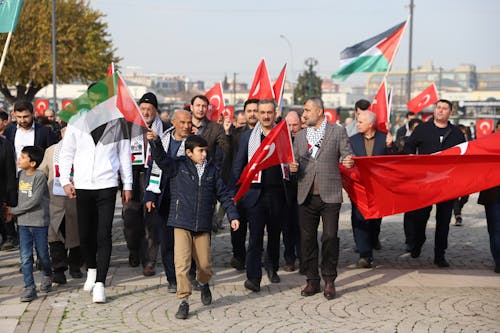 Základová fotografie zdarma na téma dav, palestinské vlajky, politika