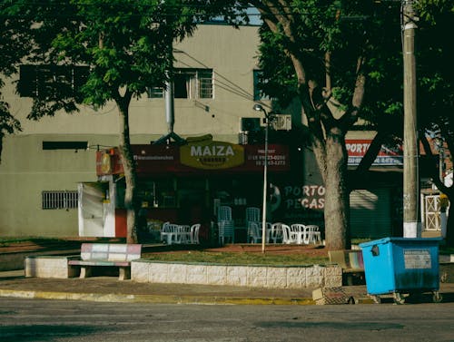 ağaçlar, binalar, Gıda içeren Ücretsiz stok fotoğraf