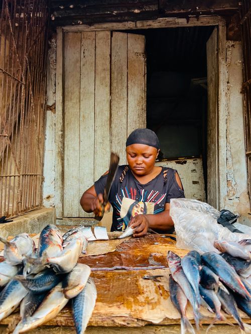 Free A woman skillfully cleans fish at an outdoor market stall with rustic wooden backdrop. Stock Photo