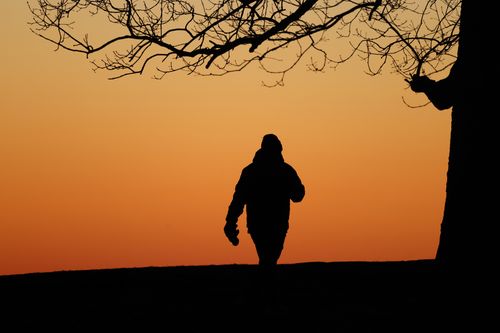 Free Silhouette of a person walking under bare trees against a vibrant sunset sky. Stock Photo