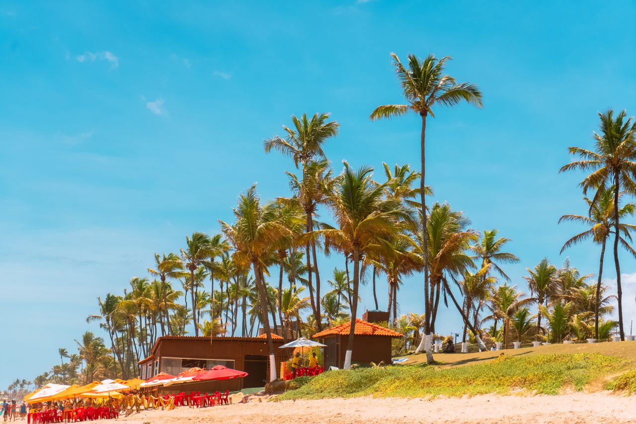 scenic tropical beach with palm trees and sunny blue sky perfect summe