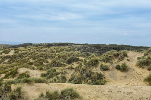 Ilmainen kuvapankkikuva tunnisteilla aavikko, dyyni, geologia