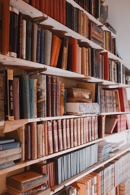 Bookshelves in a Home Library