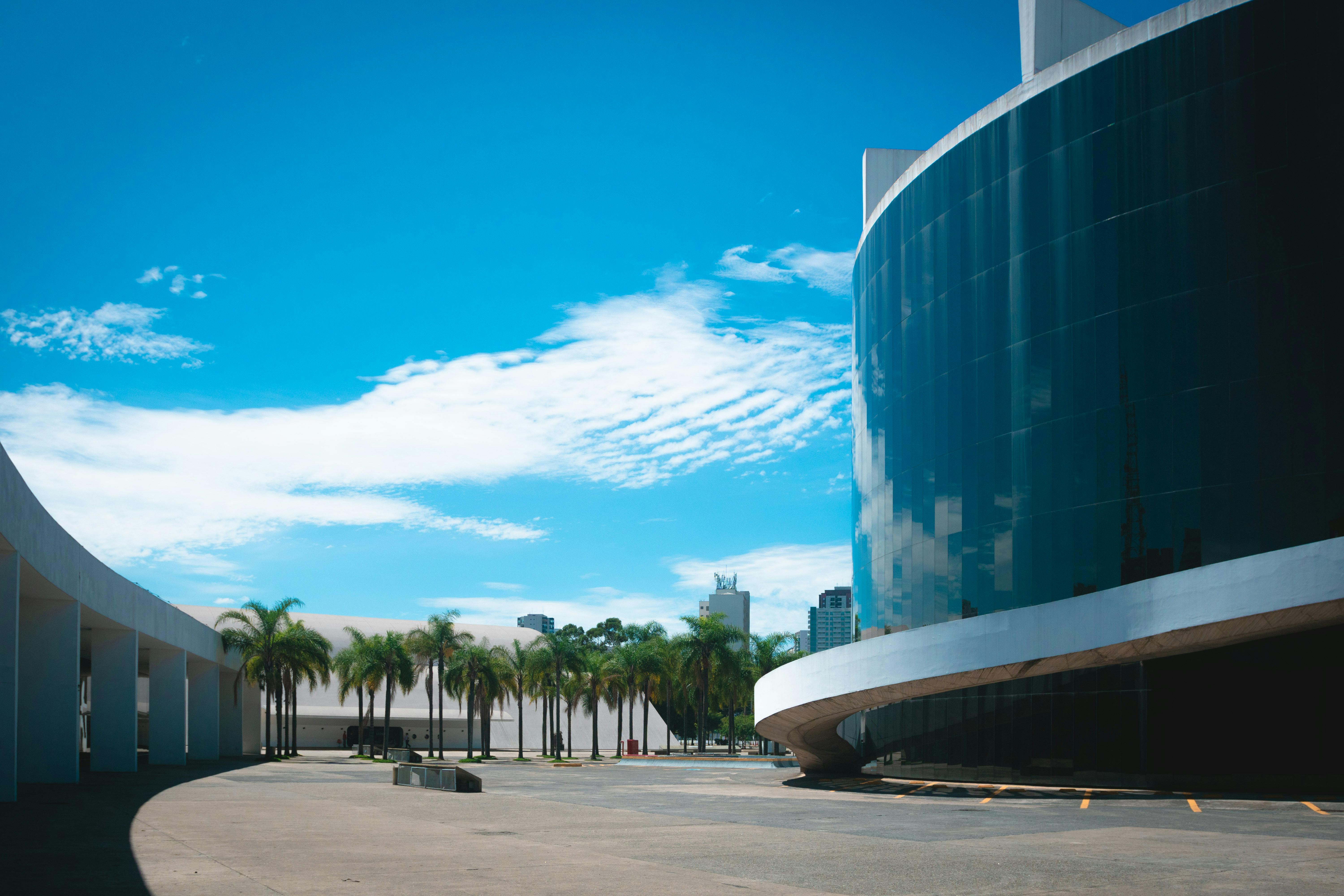 现代玻璃建筑在棕榈树和蓝天的映衬下，展示着城市建筑的风采