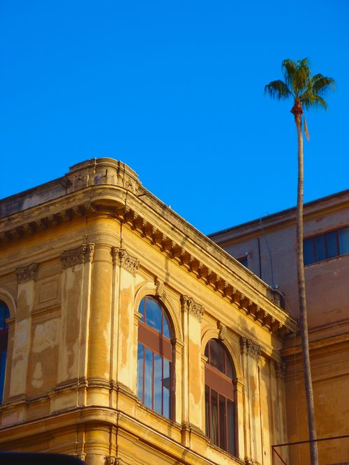 Free Elegant Baroque building facade with palm tree against a clear blue sky in Rome, Italy. Stock Photo