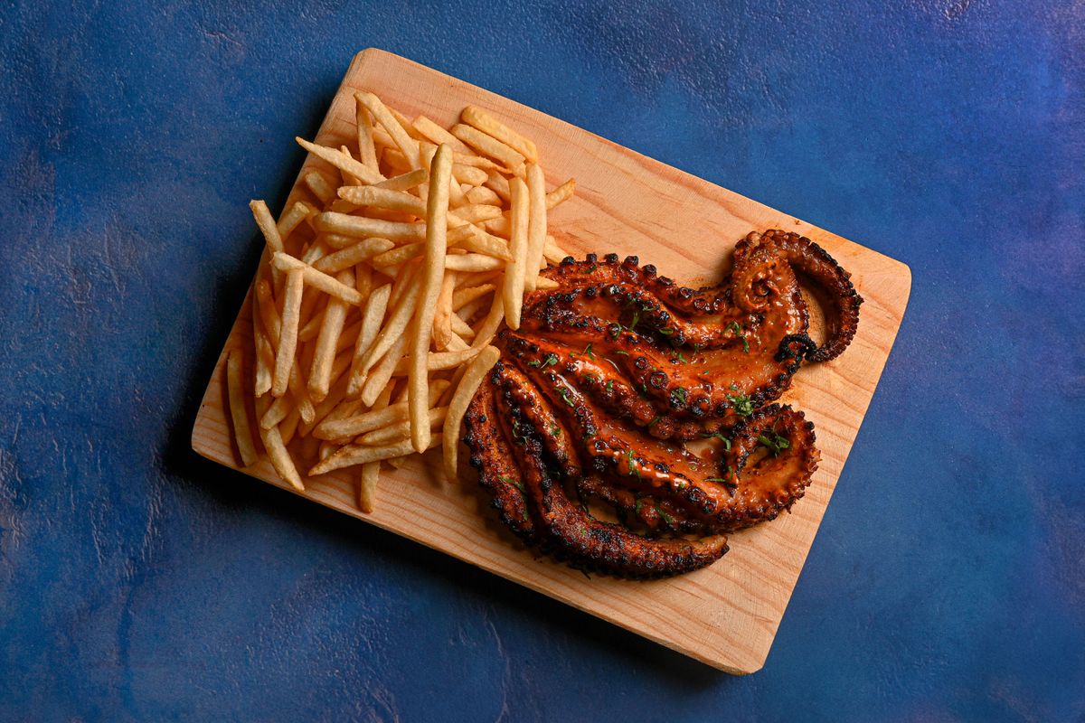 Vector Octopus Photos, Download The BEST Free Vector Octopus Stock ...