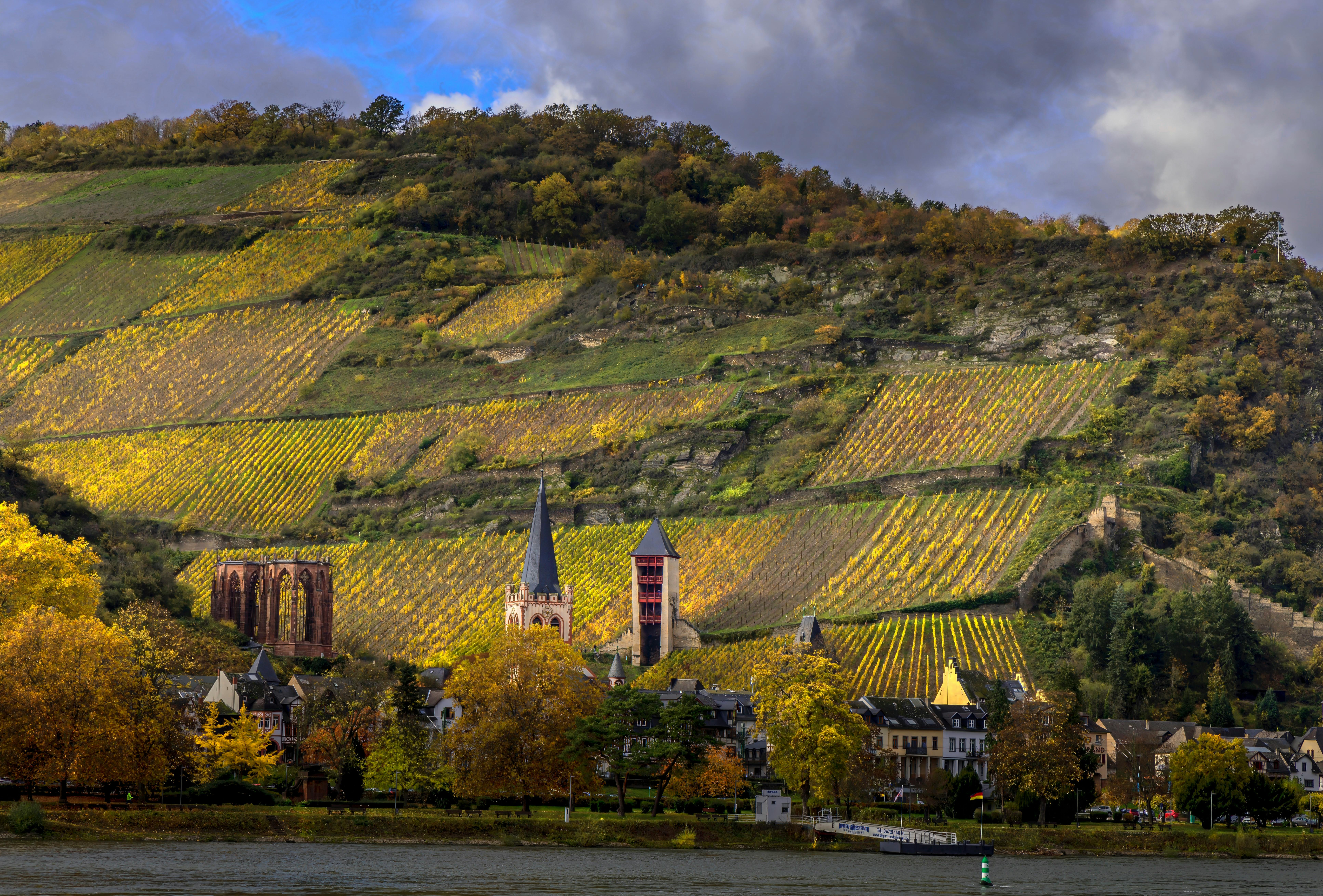 Wijnproeverij en Gastronomische Ervaring in de Douro Vallei Wijnproeverij en Gastronomische Ervaring in de Douro Vallei