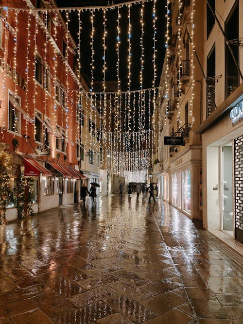 Venice Christmas Lights 