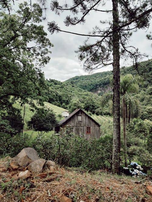 Cabin in Mountains