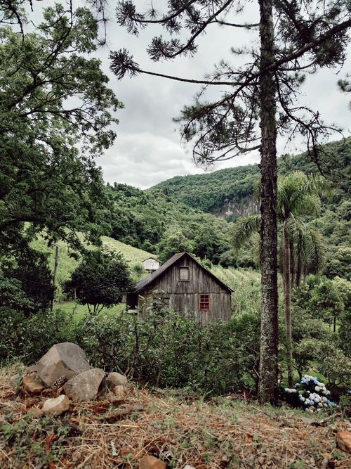Free A serene view of a wooden cabin nestled in lush greenery amidst mountains. Stock Photo