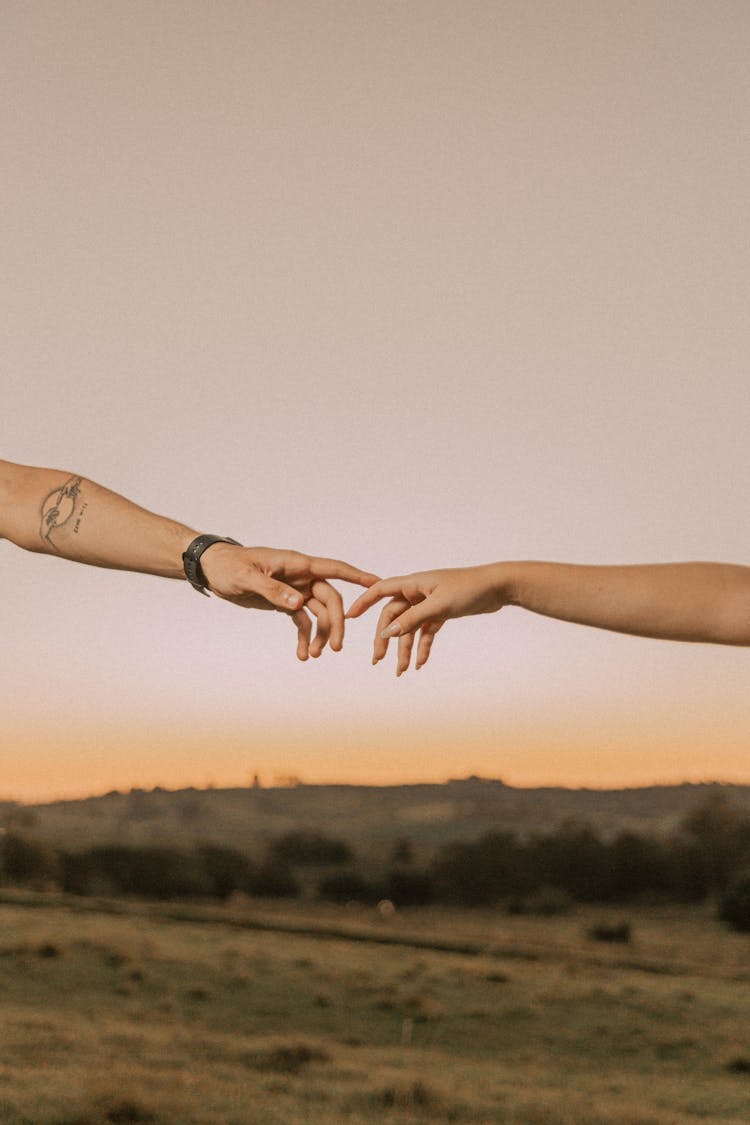 Hands Reaching In Countryside