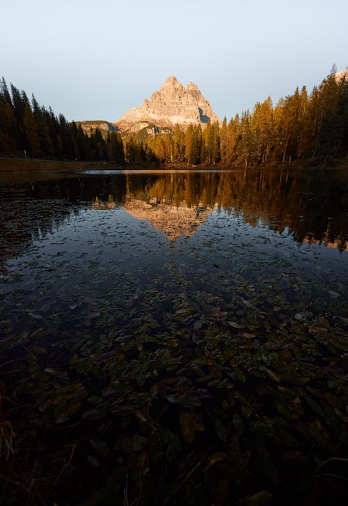 Foto profissional grátis de cenário, floresta, lago