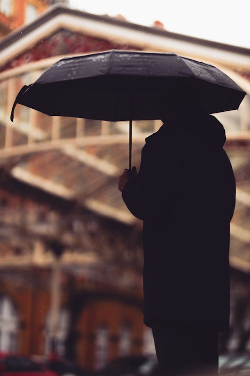Silhouette of a Person Holding an Umbrella