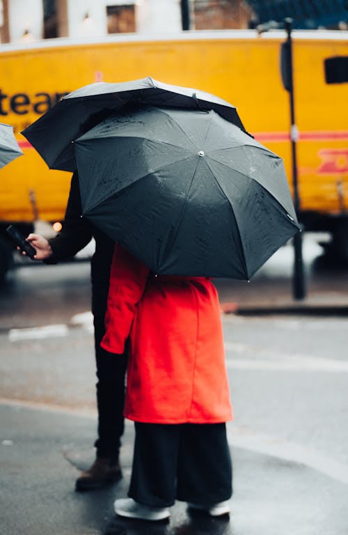 Základová fotografie zdarma na téma chůze, déšť, deštníky