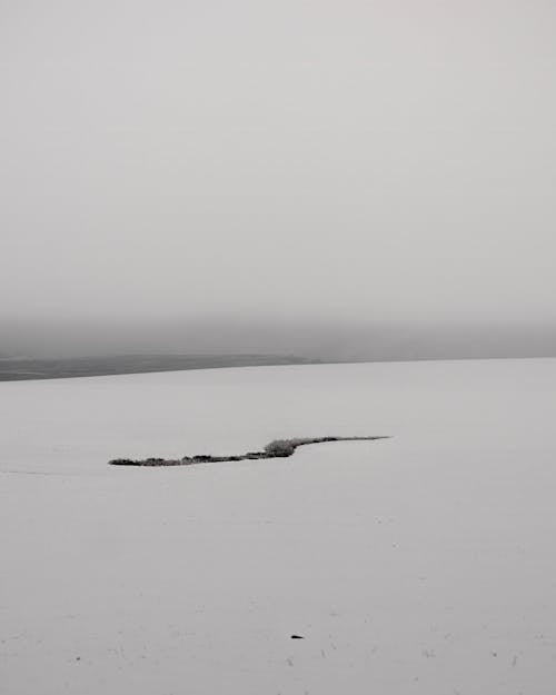 Snow-Covered Coastal Landscape