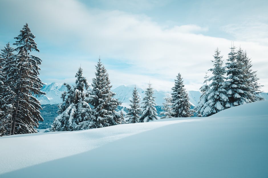 Schedule TikToks for Seasonal Campaigns