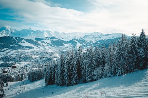 Základová fotografie zdarma na téma 12 centimetrů sněhu, 4k les, 8 hodin sněhu