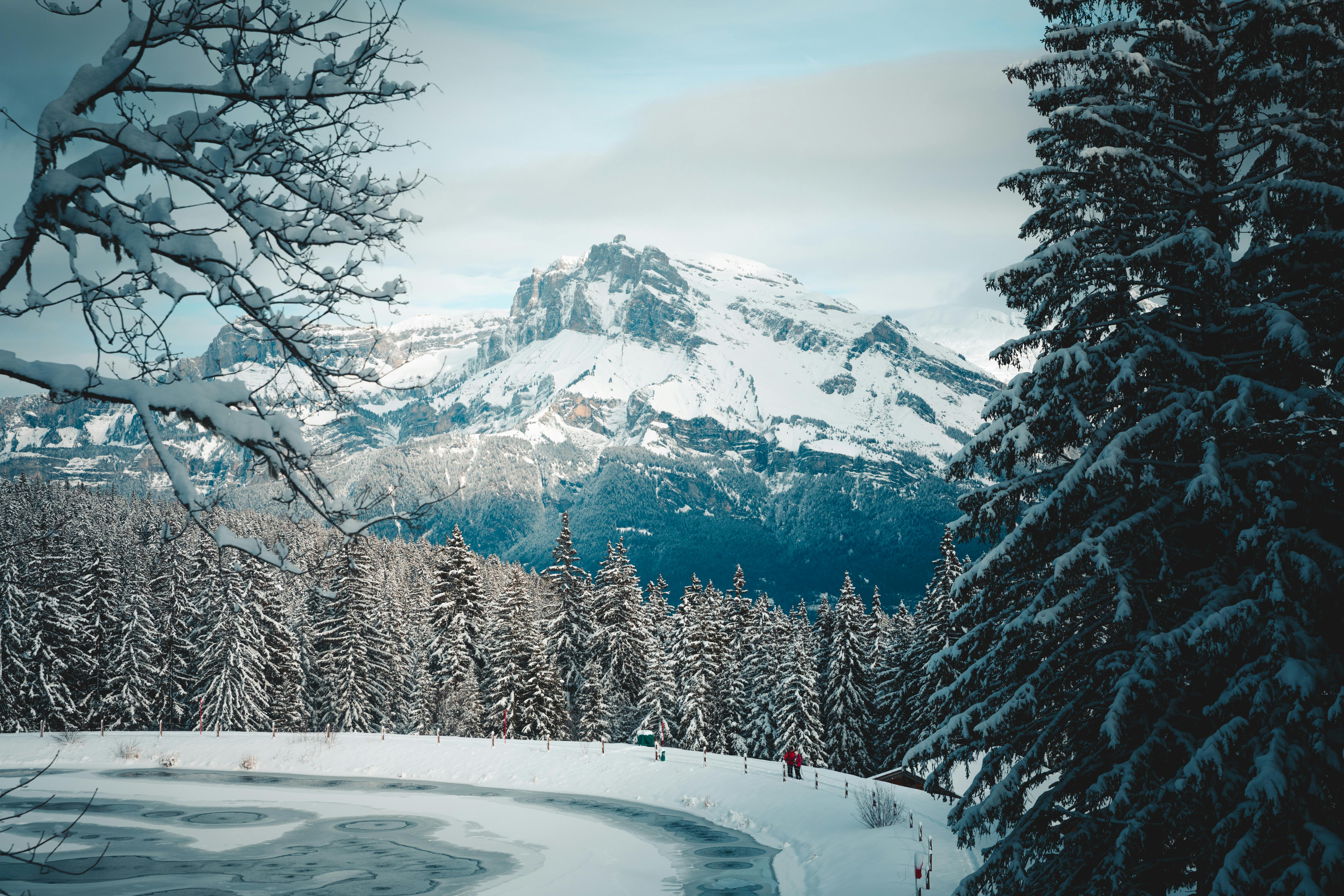 a snowy mountain range with trees and a lake