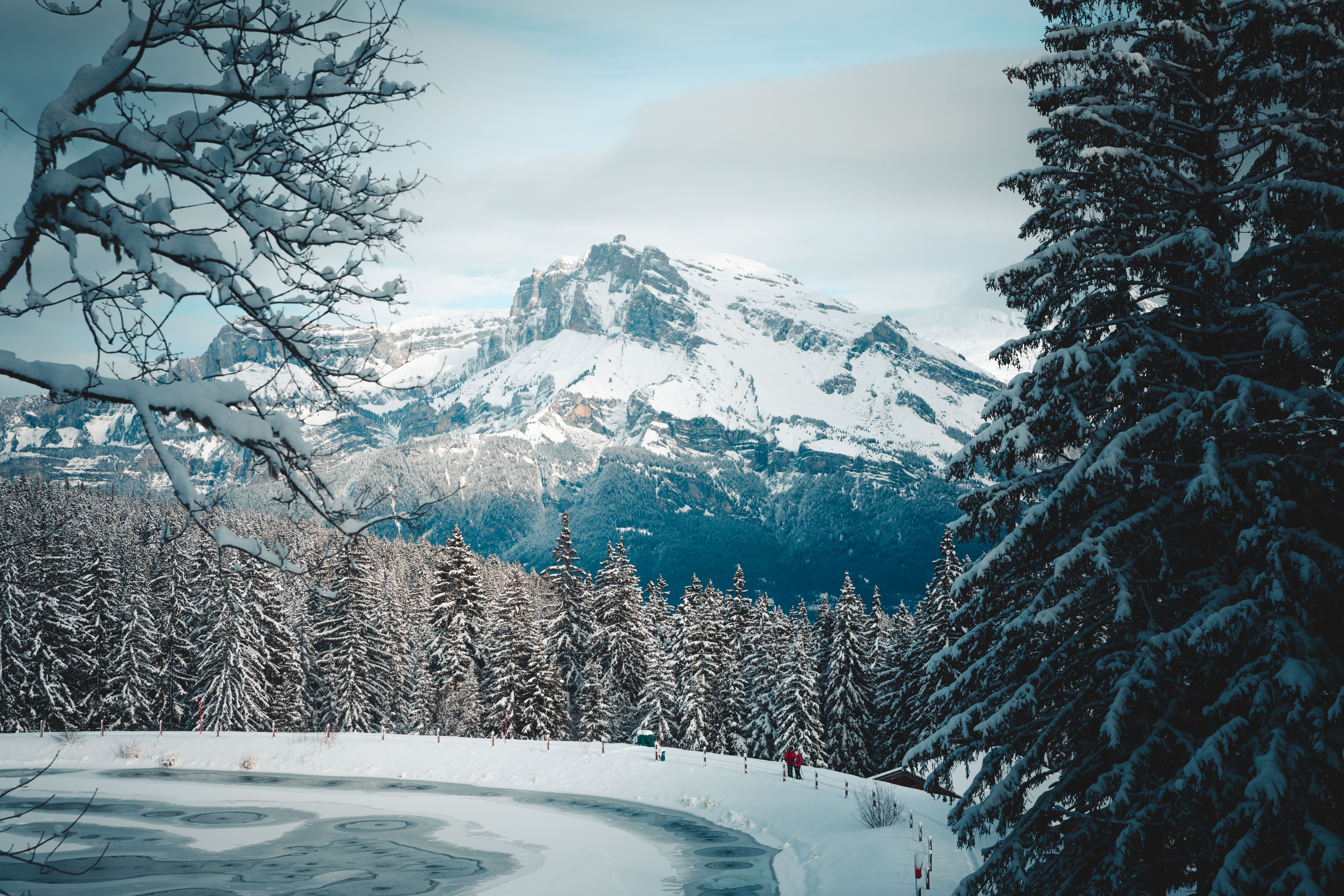 A snowy mountain range with trees and a lake · Free Stock Photo