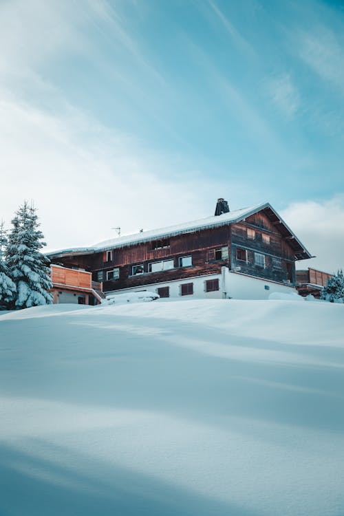 Immagine gratuita di 12 pollici di neve, 8 ore di neve, abbraccio