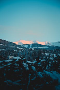 Scenic winter mountains with snow covering pine trees in Megève, France at sunrise.