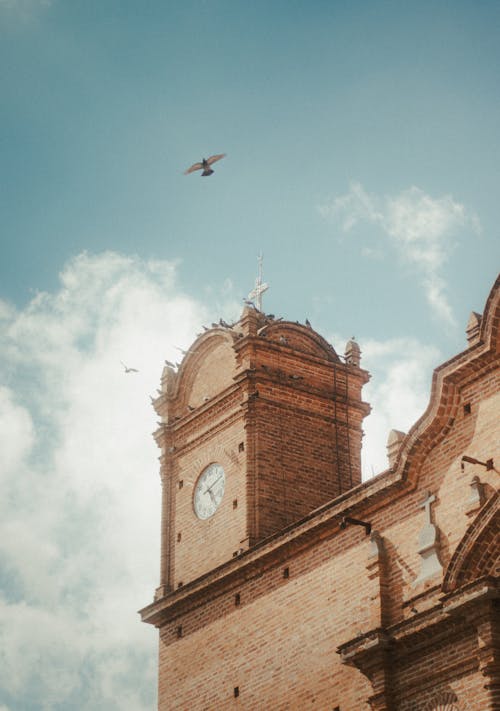 Bird Flying over a Clock Tower in Tapalpa, Mexico