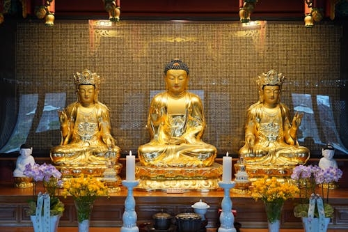 Gratis arkivbilde med alter, åndelighet, buddhas