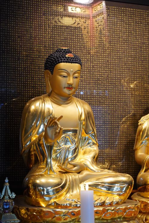 Free A golden Buddha statue symbolizes serenity and spirituality in this vertical composition. Stock Photo