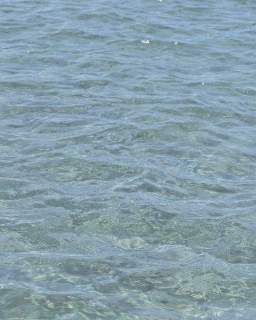 Ilmainen kuvapankkikuva tunnisteilla lähikuva, meri, pinta