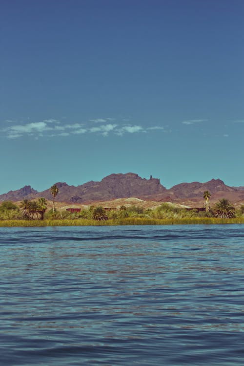 Základová fotografie zdarma na téma arizona, arizonská divoká zvěř, arizonská poušť