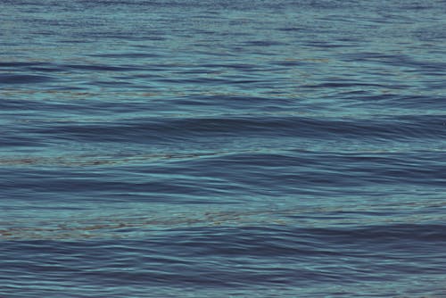 Gratis lagerfoto af blå, bølget, hav