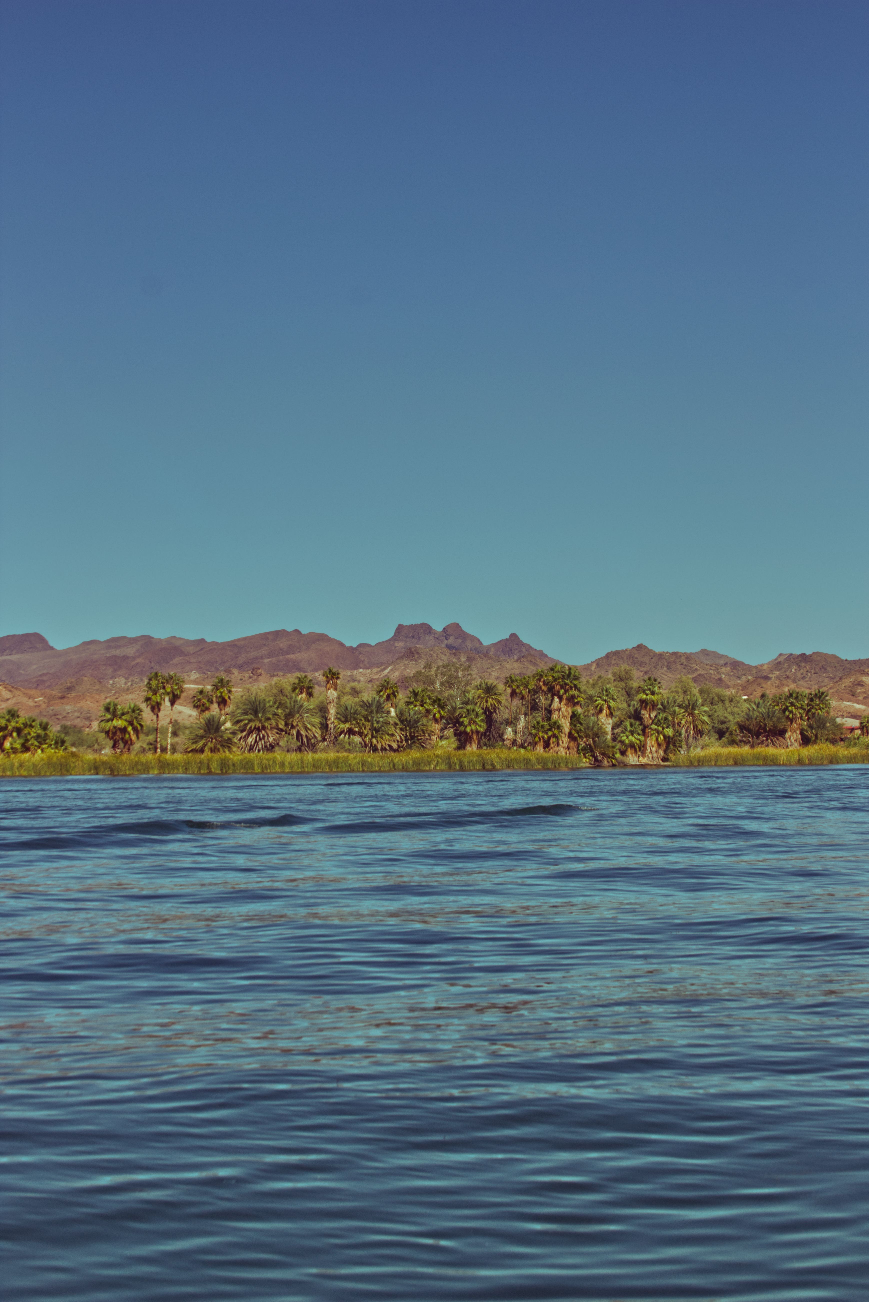 professional day porters in Chandler, AZ