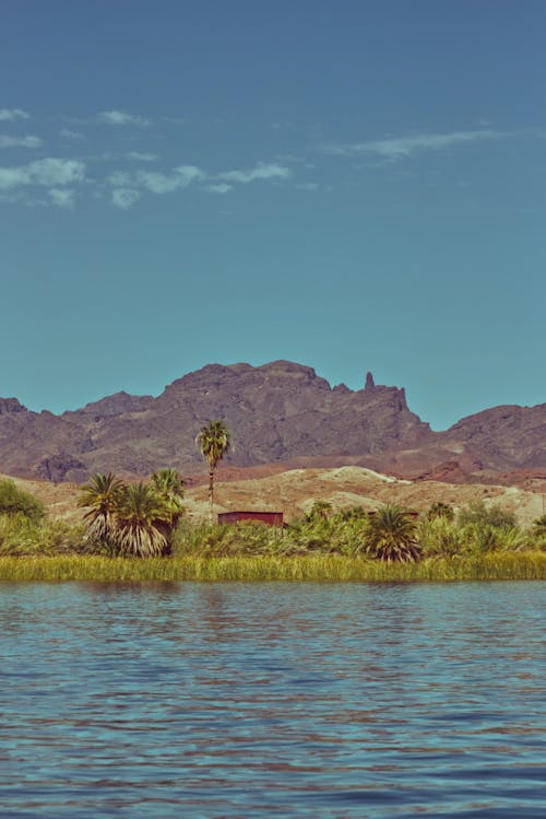 Základová fotografie zdarma na téma arizona, arizonská divoká zvěř, arizonská poušť
