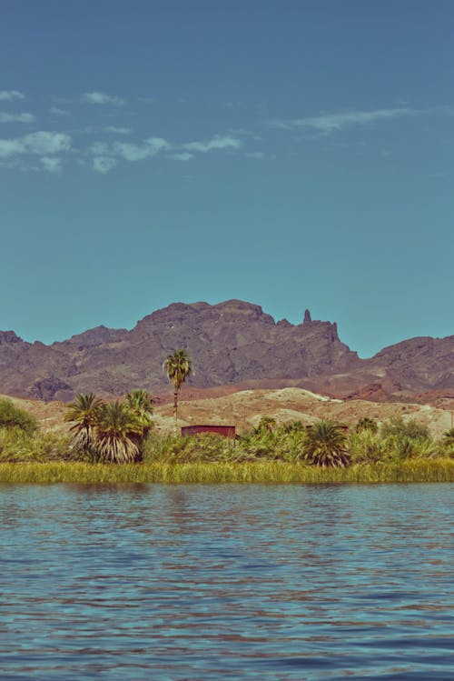 Free stock photo of arizona, arizona desert, arizona wildlife