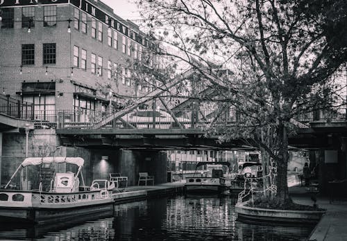 Kostenloses Stock Foto zu baum, boote, brücke