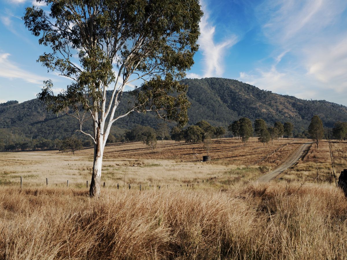 4 Day Whisk & Wonder with Chef Anna Polyviou in Australia 2