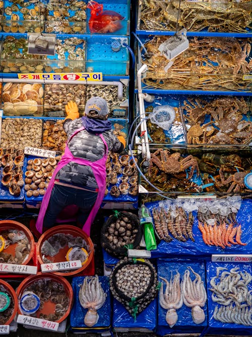 Marché Aux Poissons