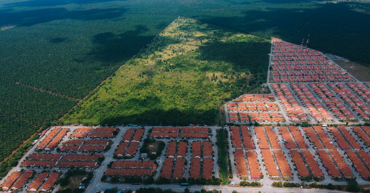 Aerial perspective of suburban development bordering lush forest.