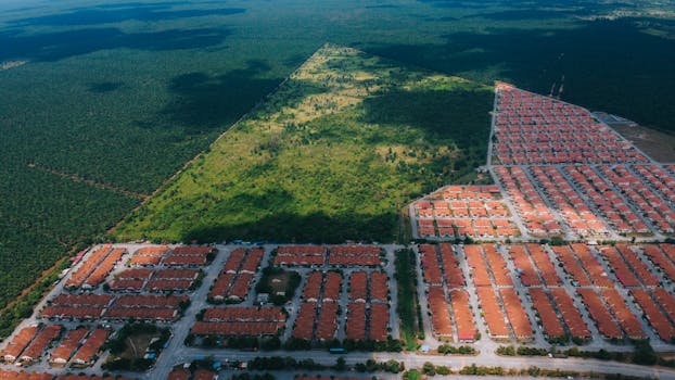Aerial perspective of suburban development bordering lush forest.