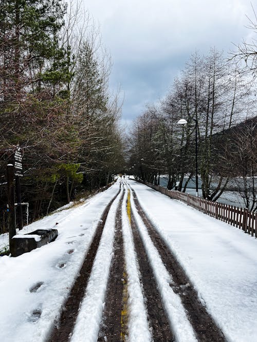 겨울, 농촌의, 눈의 무료 스톡 사진
