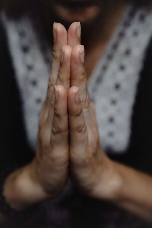 Foto profissional grátis de admiração, adulto, alerta