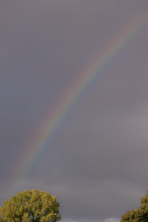 Základová fotografie zdarma na téma barevný, duha, obloha