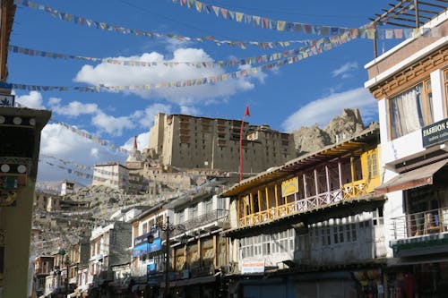 Fotobanka s bezplatnými fotkami na tému cestovať, India, leh palace